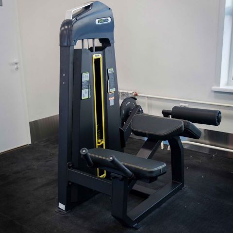 E-3001 Сгибание ног лежа (Prone Leg Cur). Стек 135 кг.