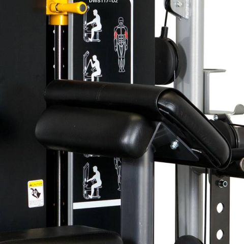 Бицепс-машина Spirit Fitness DWS117-U2