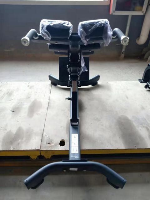 Гиперэкстензия наклонная Insight Fitness TN89