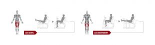 Силовой тренажер Spirit Fitness DWS141-U2 (Сгибание/разгибание ног сидя)