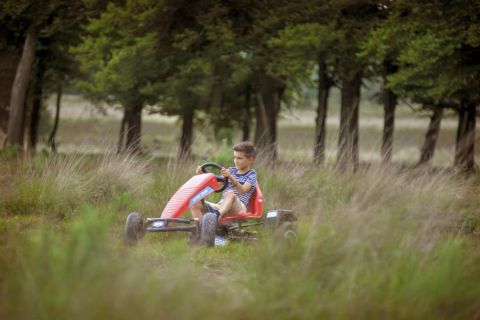 Веломобиль Berg Extra Sport Red BFR