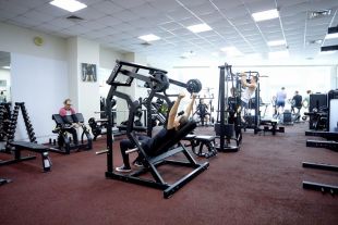 Жим от плеч Insight Fitness TM21