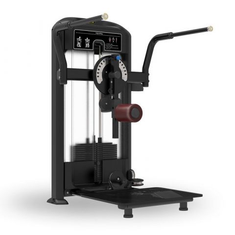 Мультихип Insight Fitness TF32