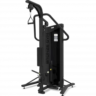 Бицепс/Трицепс стоя BRONZE GYM NEO 86