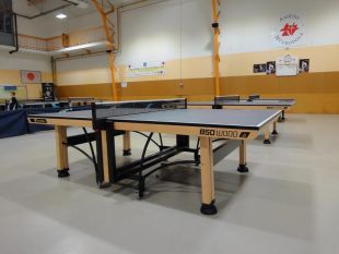 Теннисный стол Cornilleau Competition 850 Wood ITTF Blue